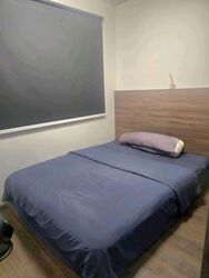 Blk 419B Waterfront II @ Northshore (Punggol), HDB 2 Rooms #556410741